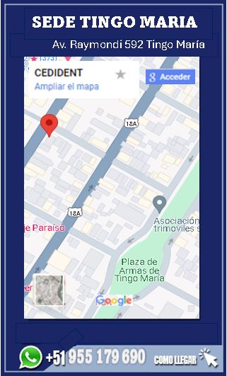Sede Tingo María